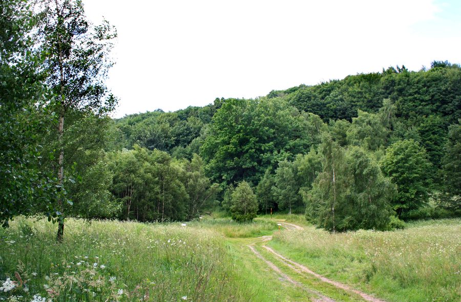 Landscape near Pyšná, part of Vysoká Pec village, Czech Republic