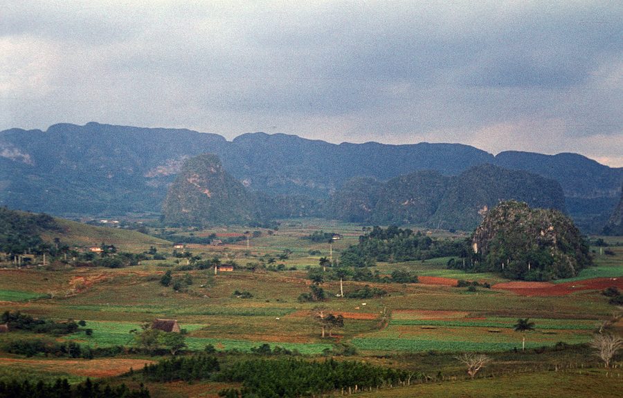 Green valley of Viñales
