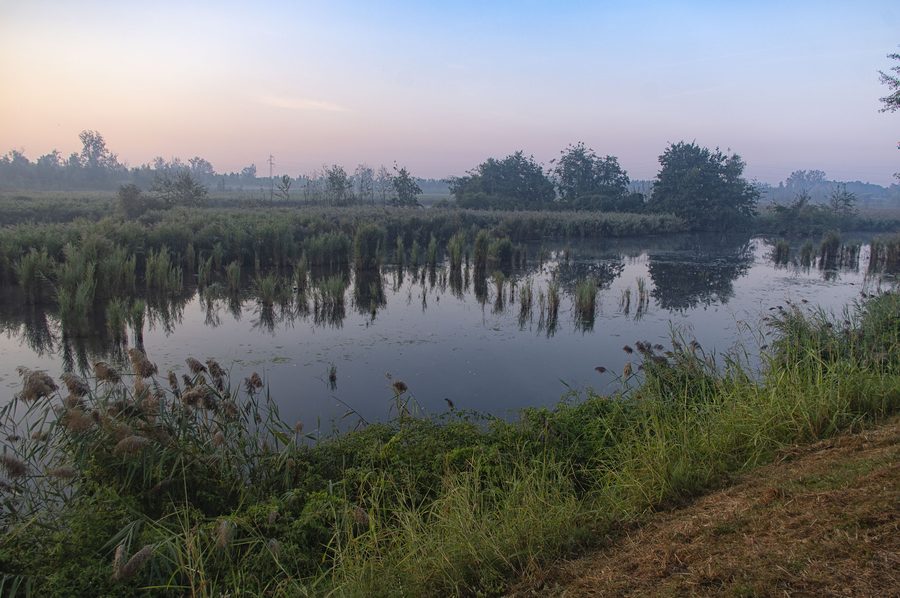 Lake of Porta in Montignoso