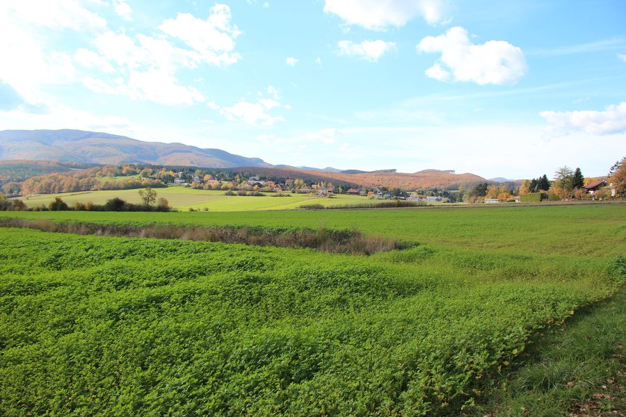 View of Siegenfeld in the municipality of Heiligenkreuz, Lower Austria