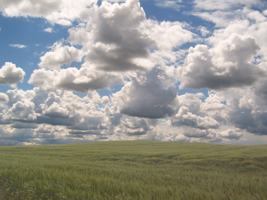 Open landscape with sky and fields in the Uckermark