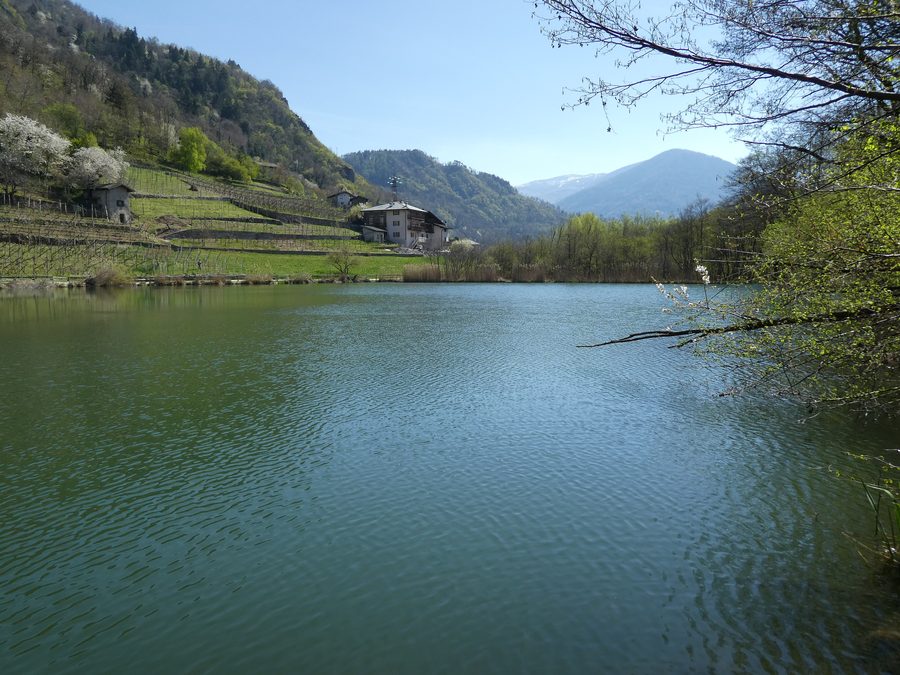 Lake of Madrano near Pergine Valsugana in Trentino