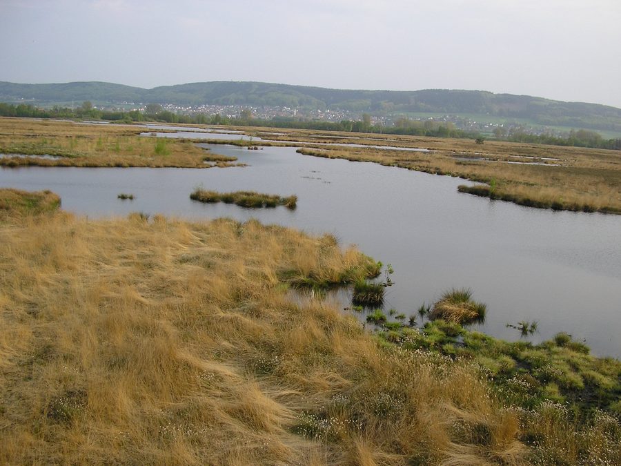 Lake of Großes Torfmoor in Lübbecke, North Rhine-Westphalia