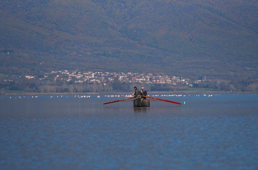 People in a rowing boat on Lake Kerkini
