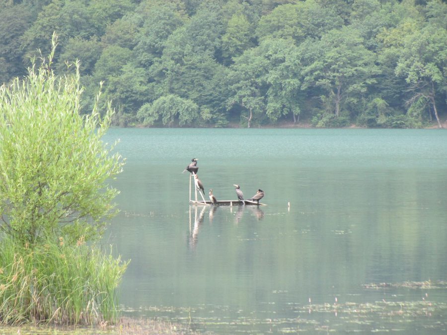 Nohur Lake near Qabala