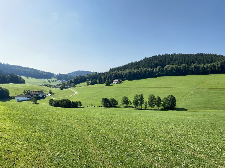 View into the valley of the Schwalsödter Bach in the hilly Mühlviertel