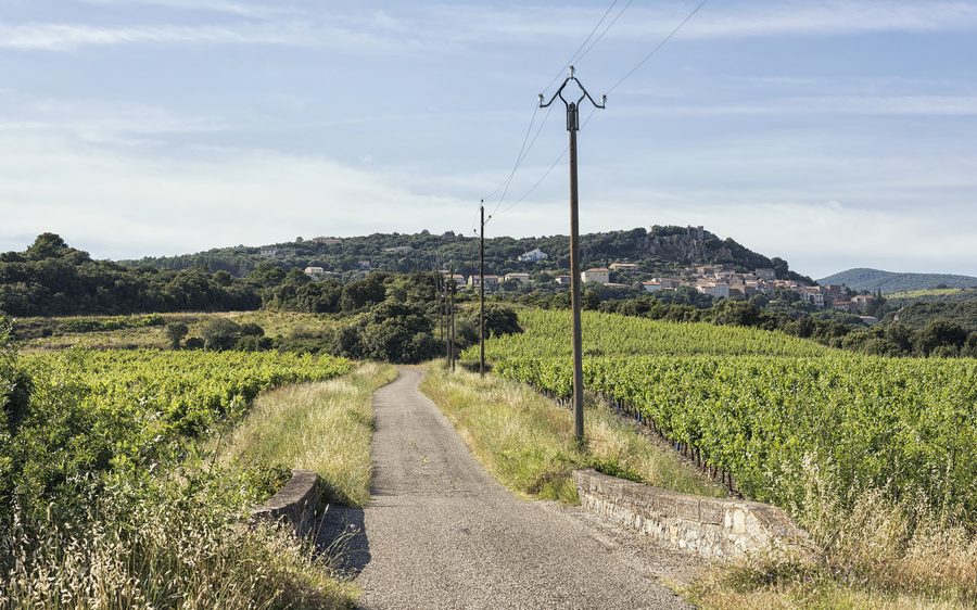 The D136E8 road among the vineyards and the village of Roquessels in Hérault