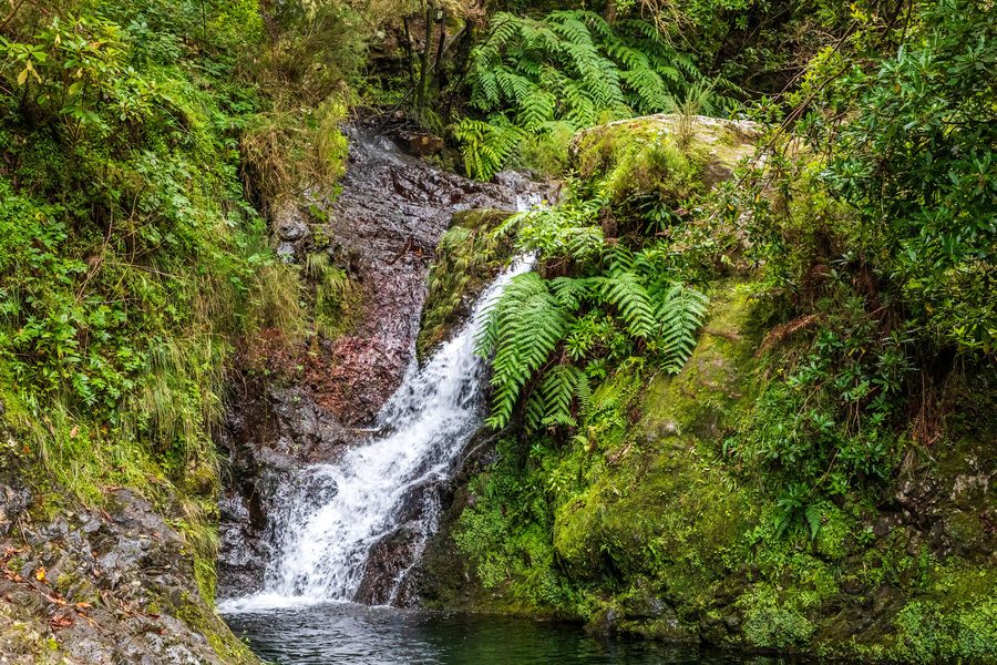Waterfall near the trout farm at Ribeiro Frio in São Roque do Faial, Madeira