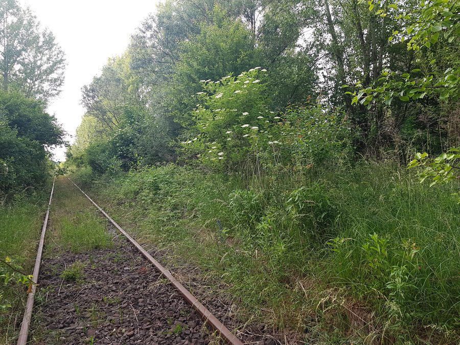 Area of the former railway station in Syrynia in 2021