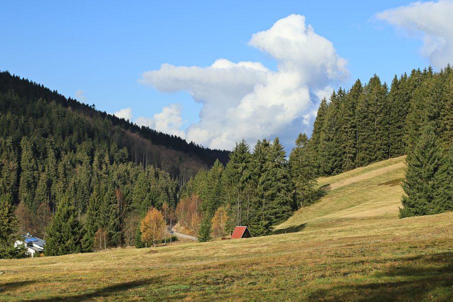 View from the rest area on the ridge trail in Wildenthal over the Ore Mountains landscape
