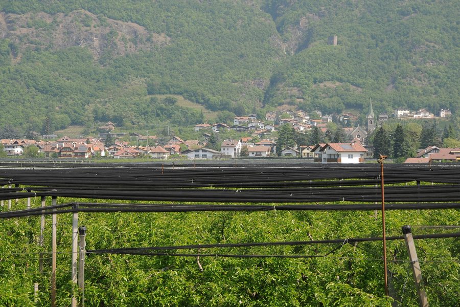 Gargazon seen from the cycle path along the Adige