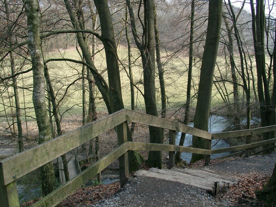 Steps of a path along the Düssel in the Neandertal near Erkrath and Mettmann
