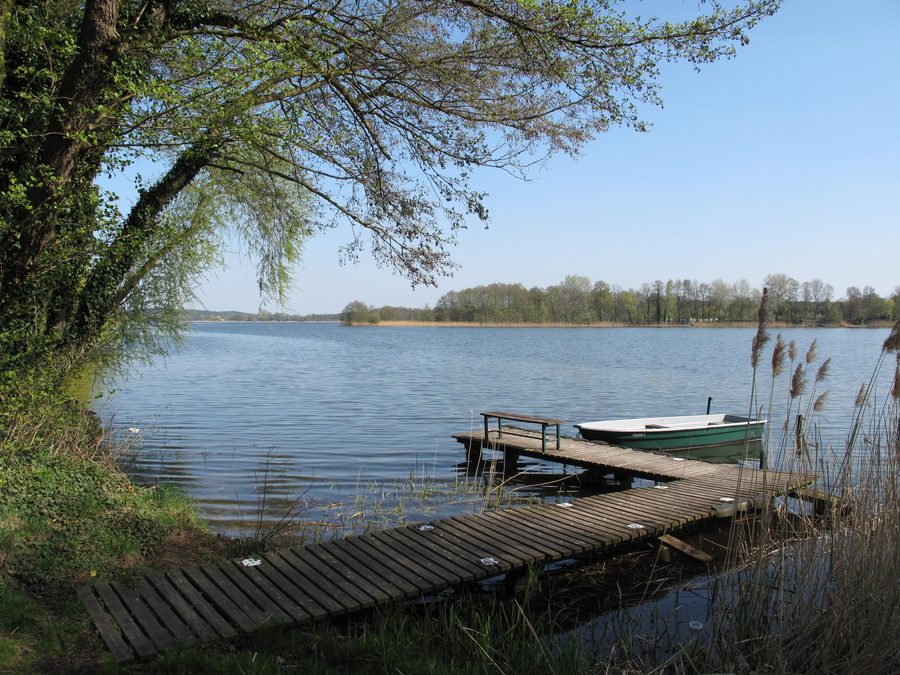 View of the Great Seddiner See in Brandenburg