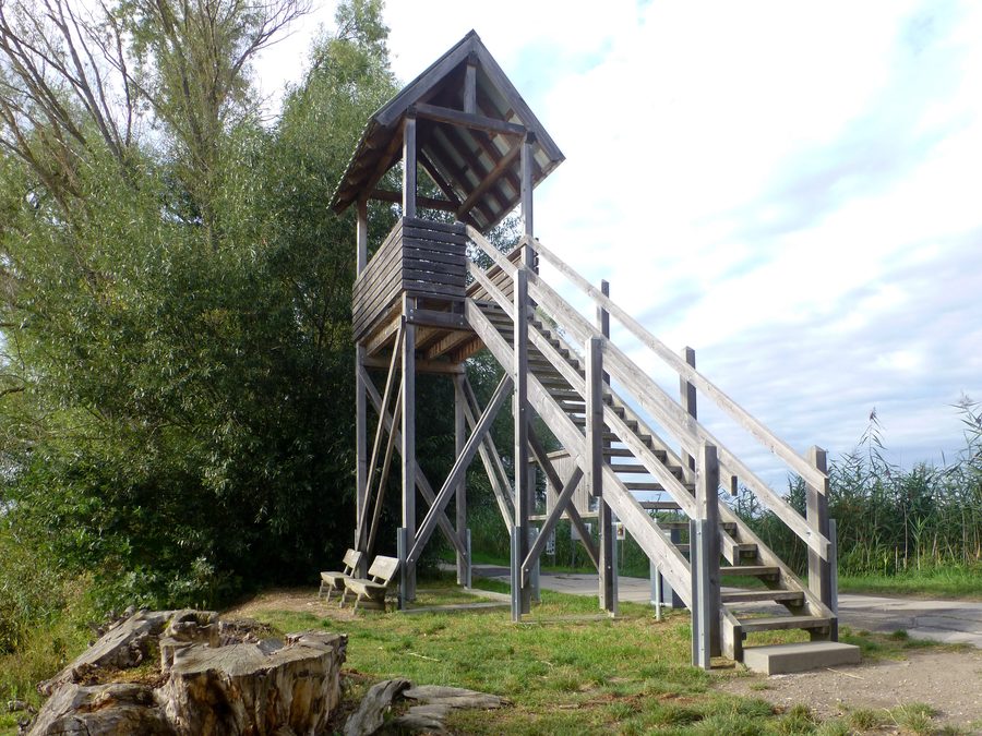 Observation tower on the eastern shore of the Altrheinsee north of Eich in Rhenish Hesse