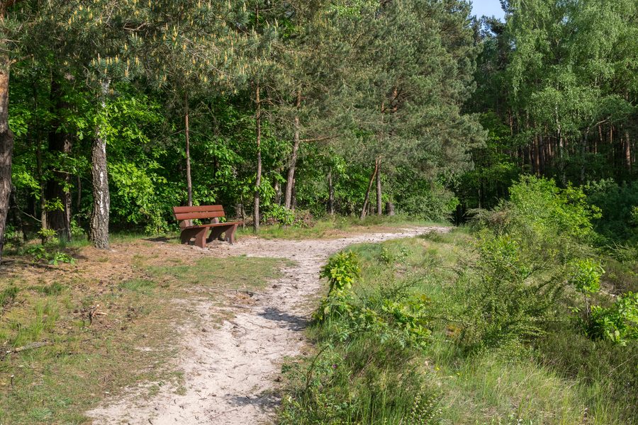 Ölbachtal nature reserve with the Augustdorf dune field near Augustdorf in the district of Lippe