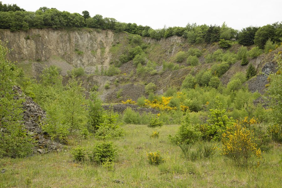 Spring landscape in the Hochbermel nature reserve in Rhineland-Palatinate.