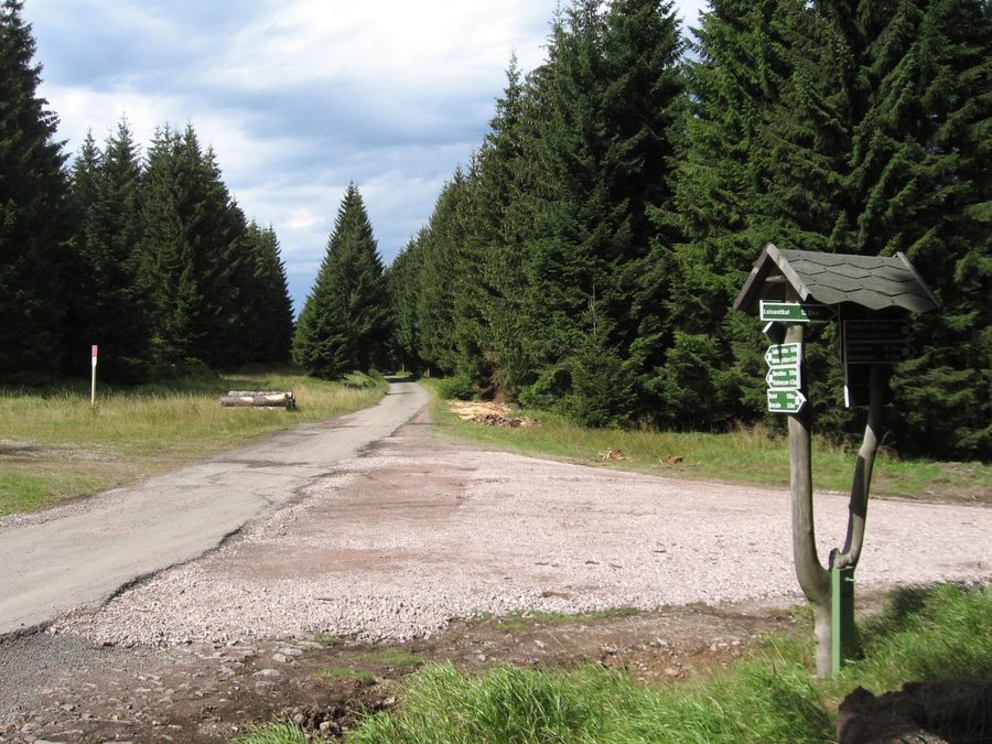 Cycle path on the Rennsteig in the Thuringian Forest near Oberhof