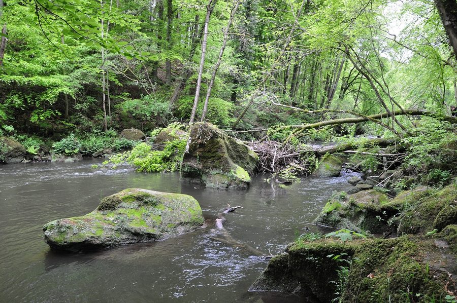 The Prüm between Prümzurlay and Irrel in Rhineland-Palatinate