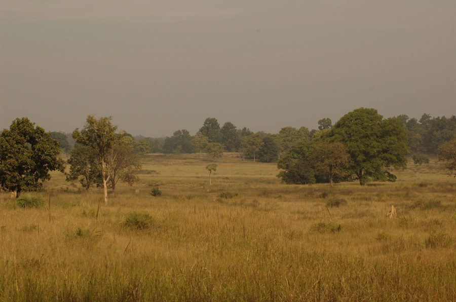 Kanha National Park in Madhya Pradesh