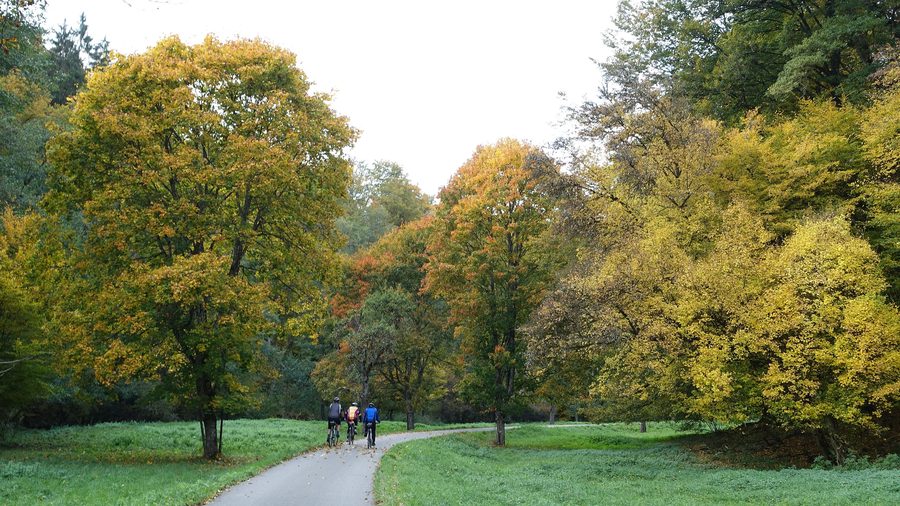 Group of cyclists in the Goldersbach Valley in Schönbuch Nature Park in autumn