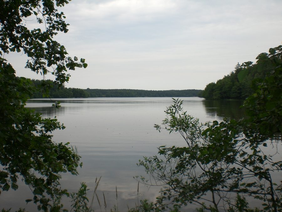 Lake Sianowskie in the Kashubian Lake District