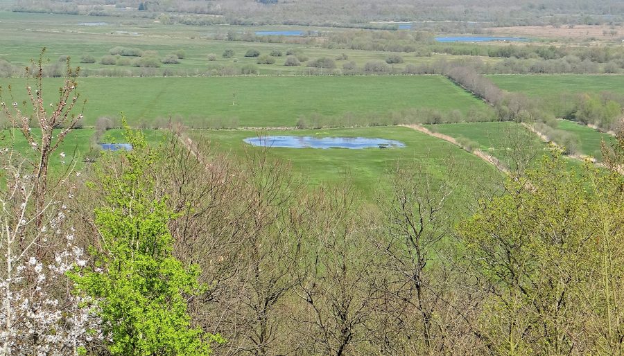 View over the Marais Vernier wetland in Normandy