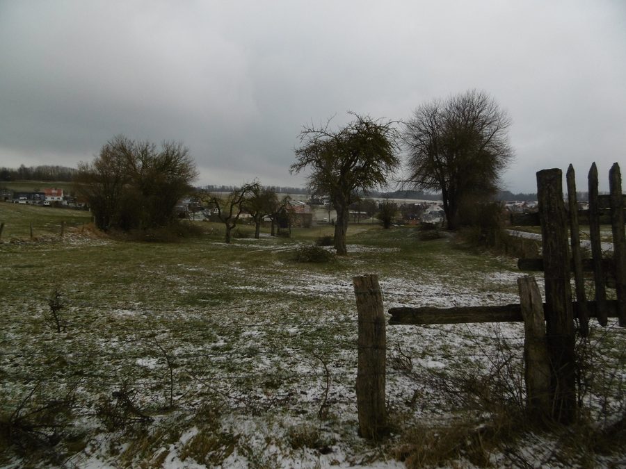 Protected orchard meadow at Hünenburg with Leitmar in the background