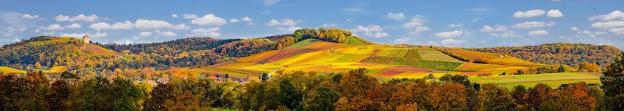Wildeck Castle above Abstatt and the upper Schozach Valley
