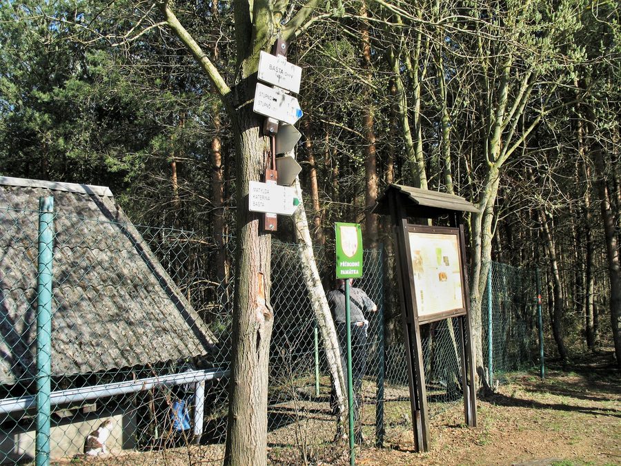 Bašta nature monument near Břasy