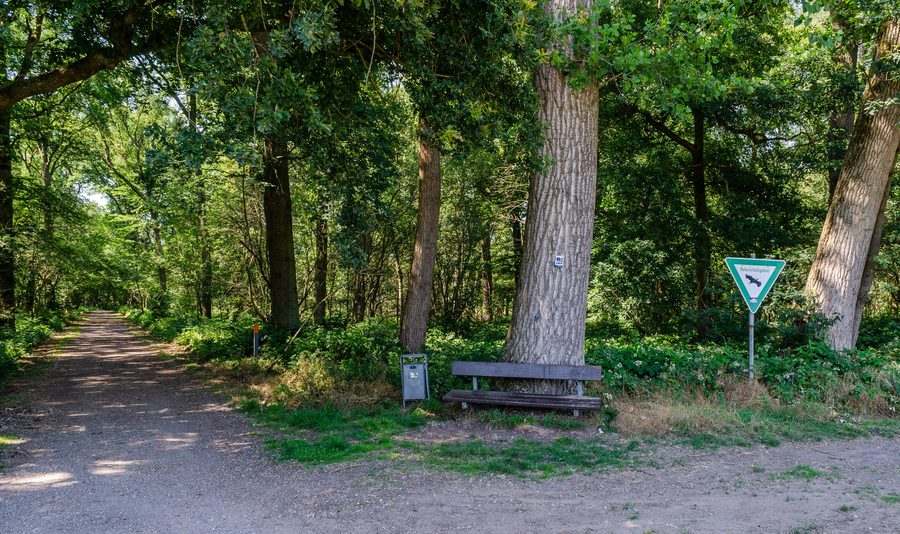 Forest at Stemmesheide by the Netteseen in Nettetal