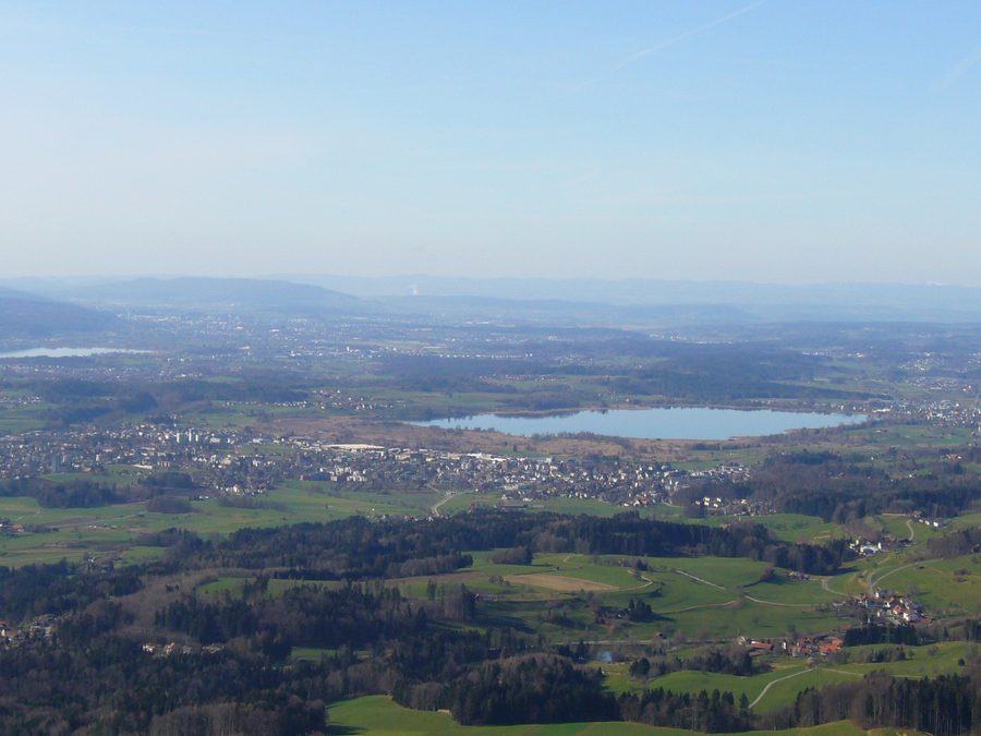 Lake Pfäffikon with natural shoreline landscape in the canton of Zürich