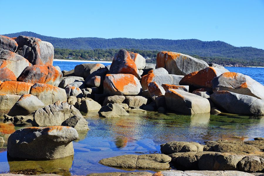Lichen-covered rocks on the Bay of Fires coast in Tasmania.