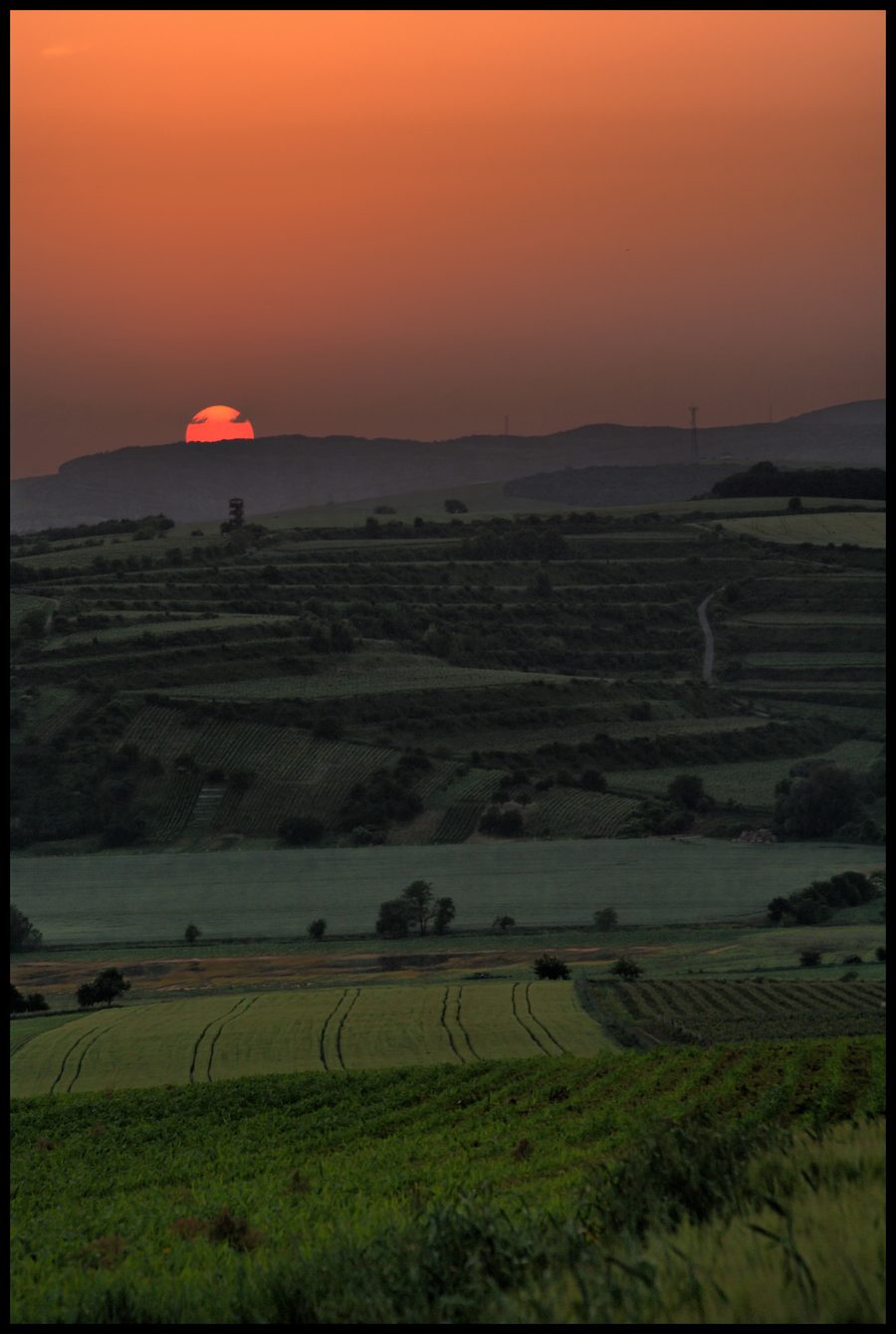 Vineyards and agricultural fields in South Moravia at sunset