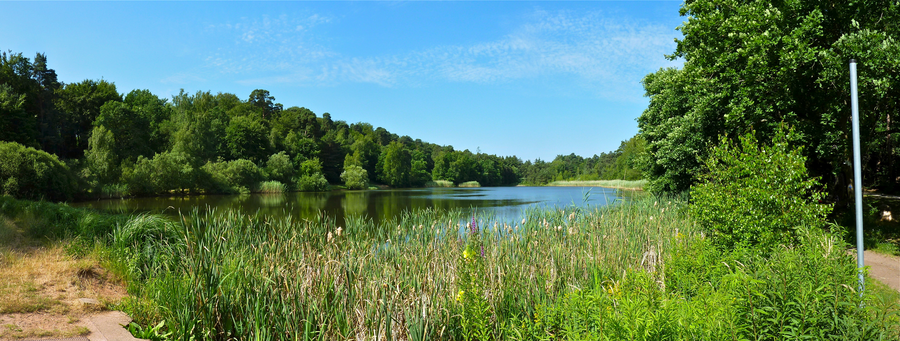 Panorama of the Vogelwoog near Kaiserslautern