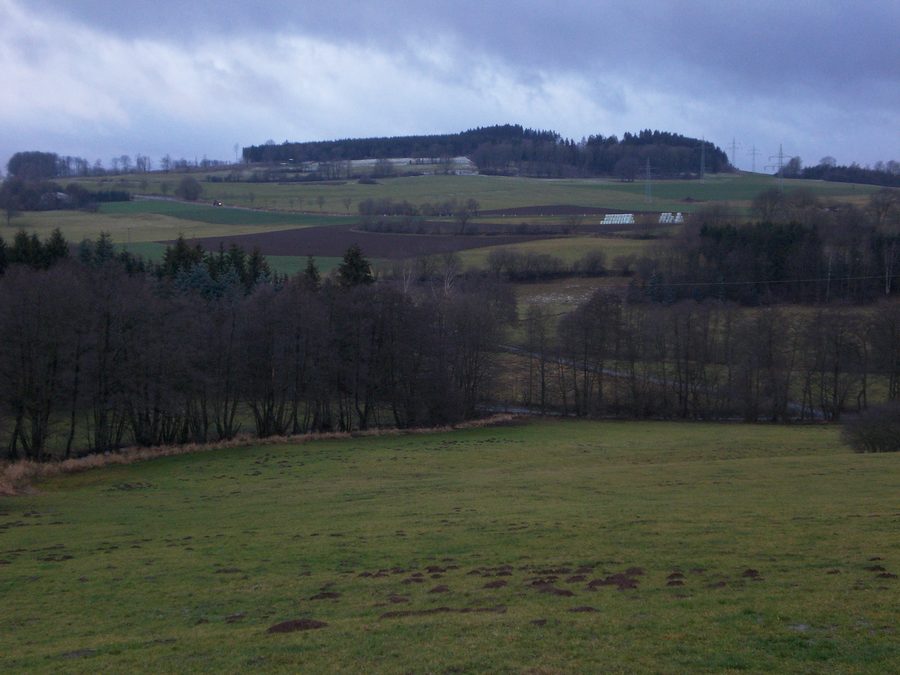 View of the Vogelsberg near Feldatal from the east