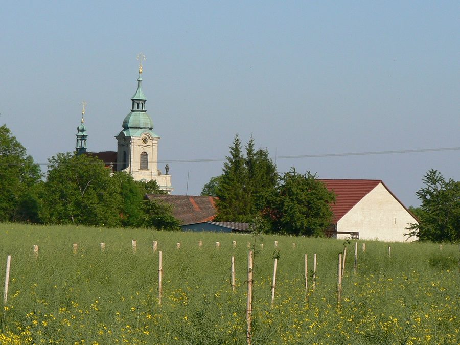 Church of St. Wenceslas in the village of Vysoká in the MÄ›lnÃk District
