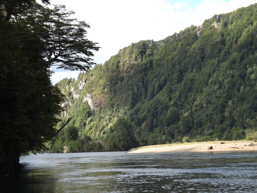 The RÃo Blanco near Puerto Aysén in Chile