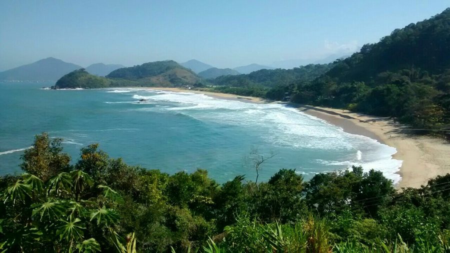 View of Praia Vermelha do Norte in Ubatuba, surrounded by Atlantic rainforest