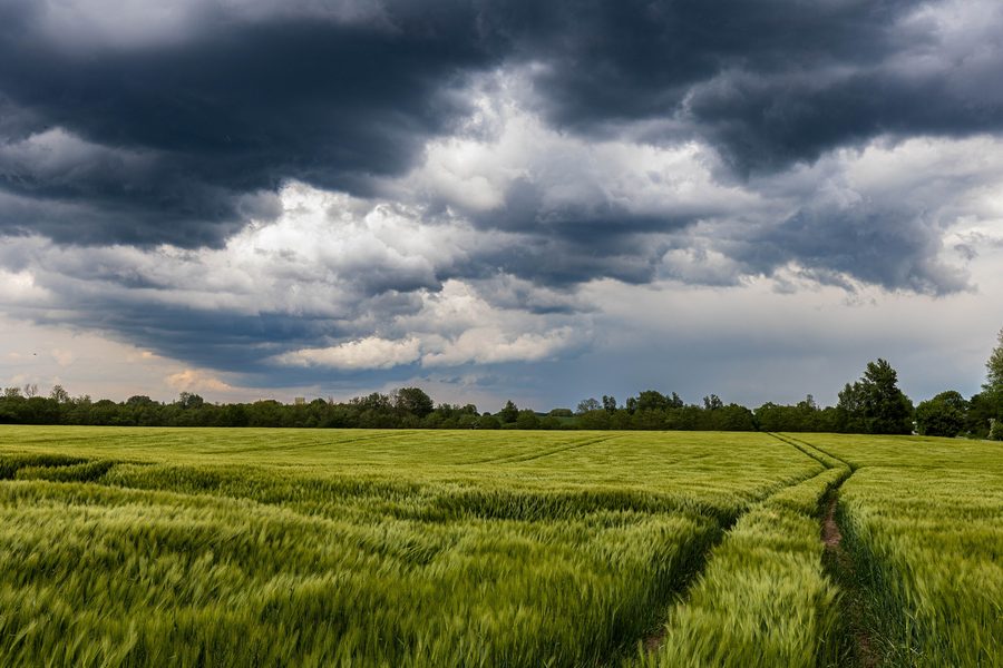 Approaching thunderstorm front near Twedt in the Schlei Nature Park