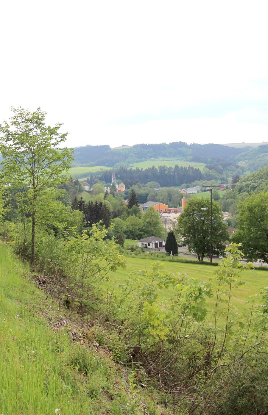 Panoramic view over the Irsental near Irrhausen in the Eifel