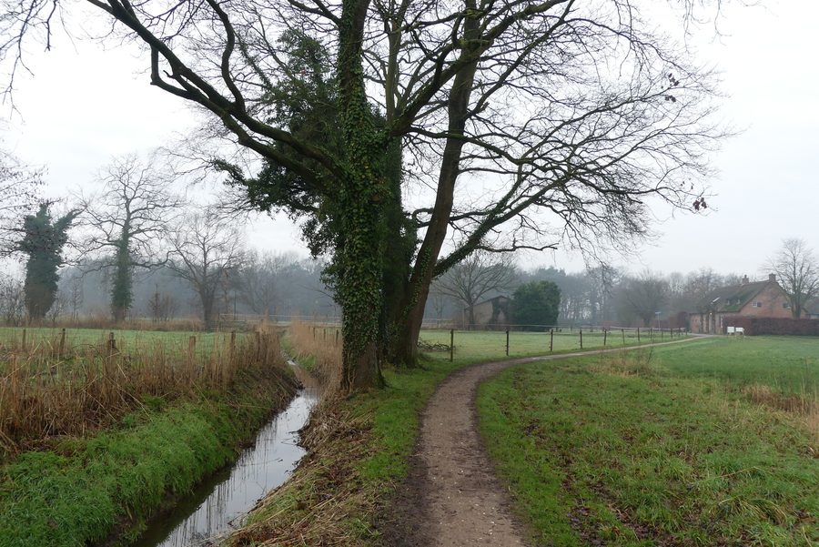 Rural area of Chaam in Alphen-Chaam