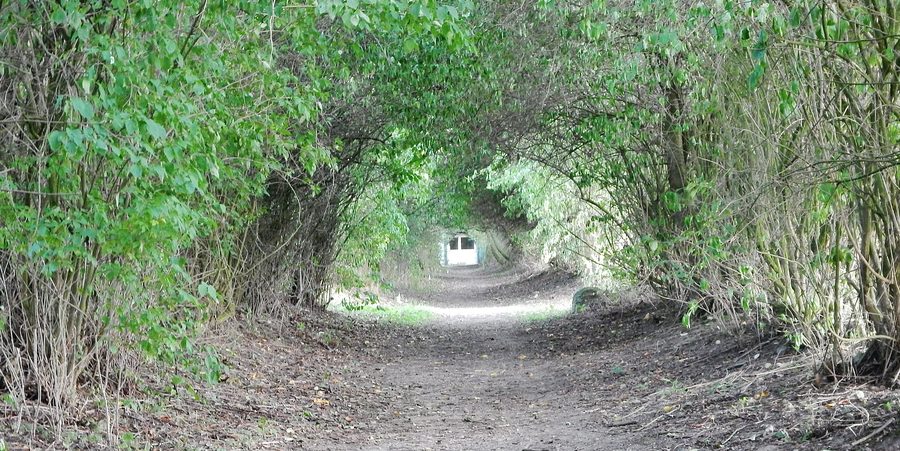 Hiking trail by Schloss Warnsdorf at Hemmelsdorfer See
