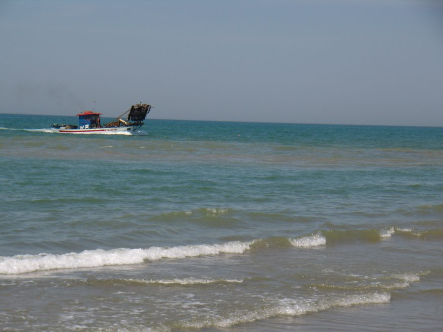 Fishermen of Torvaianica on the coast of Pomezia
