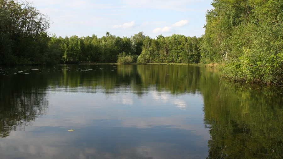 Ellerstadter Weiher nature reserve in the Bad Dürkheim district in Rhineland-Palatinate