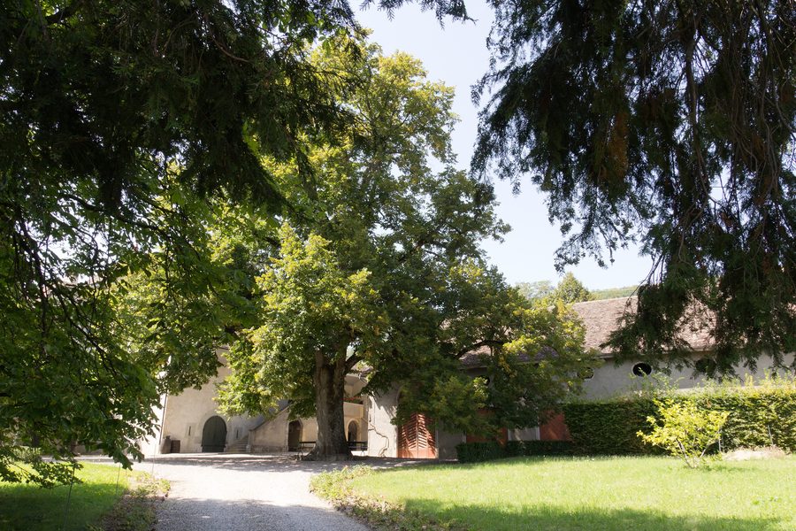 Access road to Luins Castle with gravel path and lawn area
