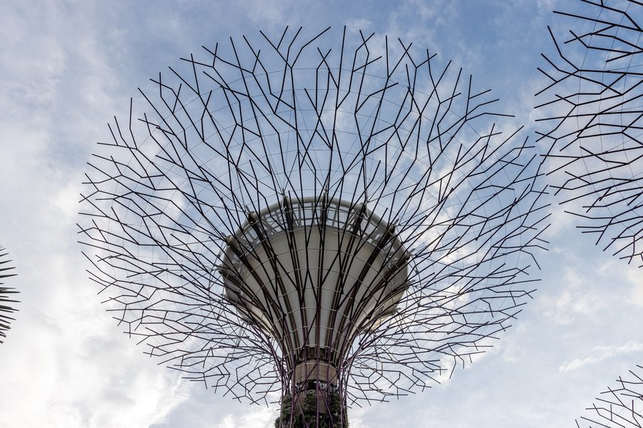 Supertrees at Gardens by the Bay in Singapore