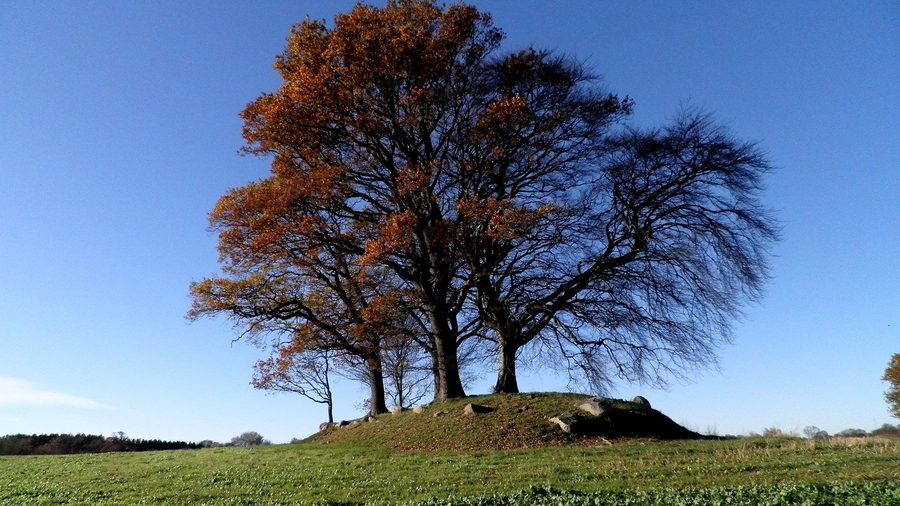 Neolithic long dolmen of Løkkeby on Langeland