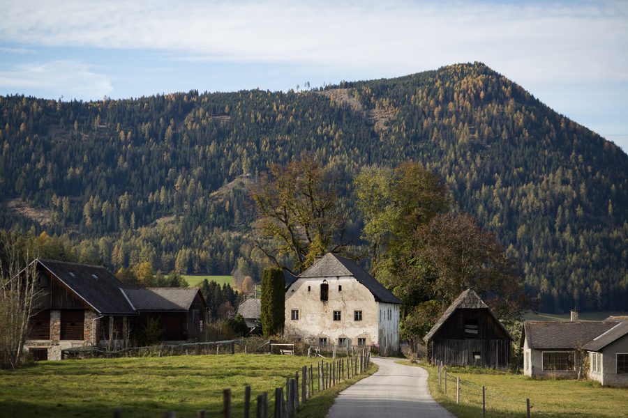 Group of trees near Zeutschach, a natural monument in Styria
