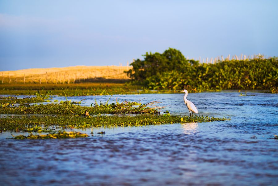 Coastal landscape in the protected area of Barra de Punaú near Rio do Fogo