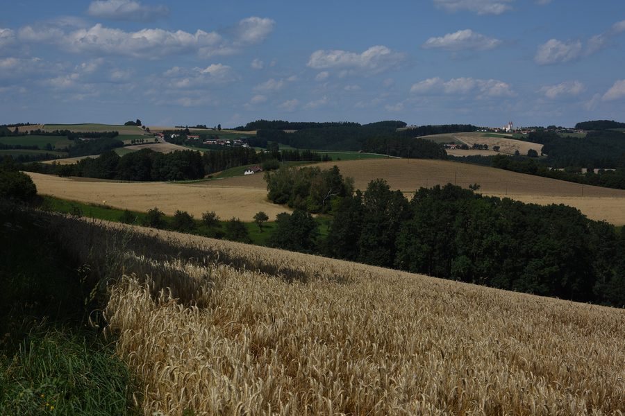Parish and pilgrimage church of Maria Schnee in Kaltenberg